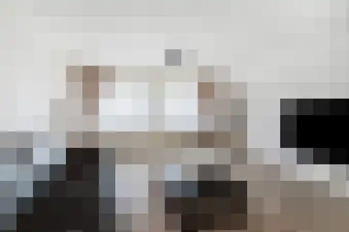 Vlaskade 78 Rotterdam thumbnail 8