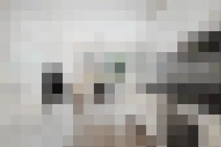 Vlaskade 78 Rotterdam thumbnail 16