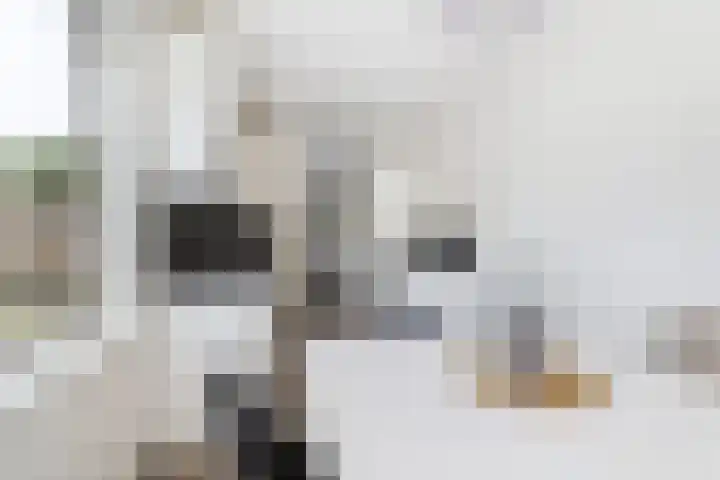 Vlaskade 78 Rotterdam thumbnail 17