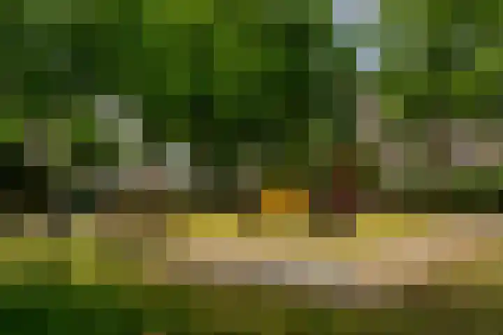 Vlaskade 78 Rotterdam thumbnail 22