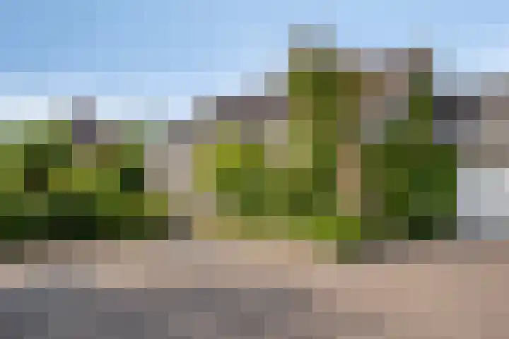 Vlaskam 16 dans Zevenbergschen Hoek