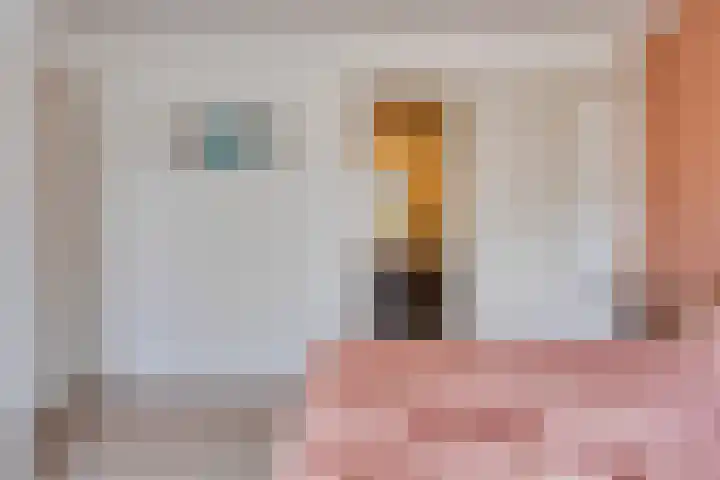 Vlaskam 16 Zevenbergschen Hoek thumbnail 10