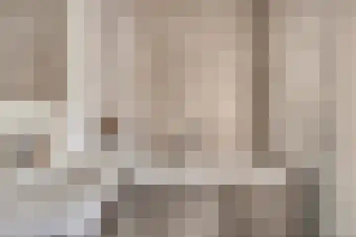 Vlaskam 16 Zevenbergschen Hoek thumbnail 12
