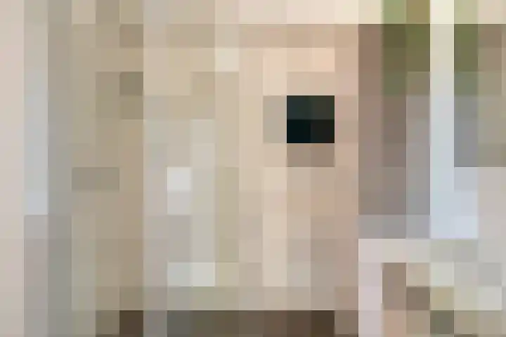 Vlaskam 16 Zevenbergschen Hoek thumbnail 14