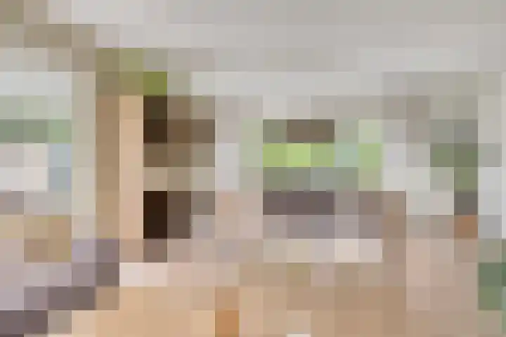 Vlaskam 16 Zevenbergschen Hoek thumbnail 16