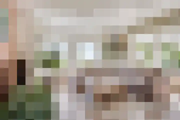 Vlaskam 16 Zevenbergschen Hoek thumbnail 17