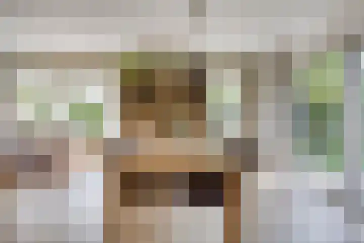 Vlaskam 16 Zevenbergschen Hoek thumbnail 18