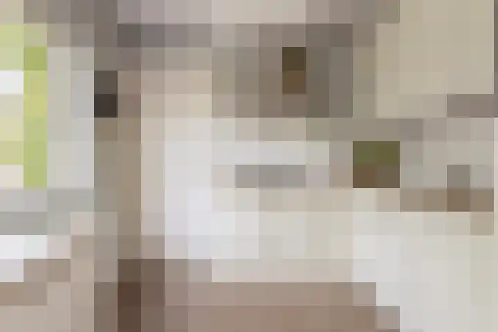 Vlaskam 16 Zevenbergschen Hoek thumbnail 19