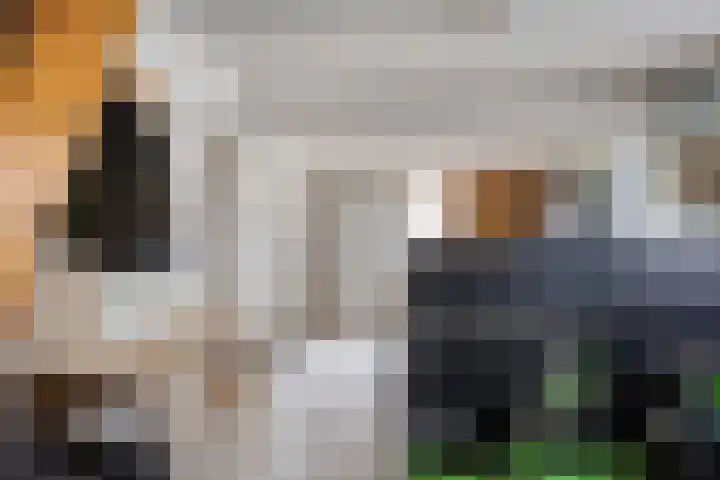 Vlaskam 16 Zevenbergschen Hoek thumbnail 22