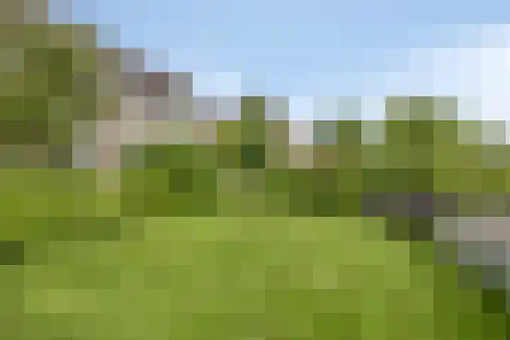 Vlaskam 16 Zevenbergschen Hoek thumbnail 30