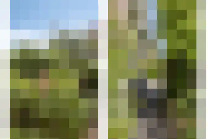 Vlaskam 16 Zevenbergschen Hoek thumbnail 31