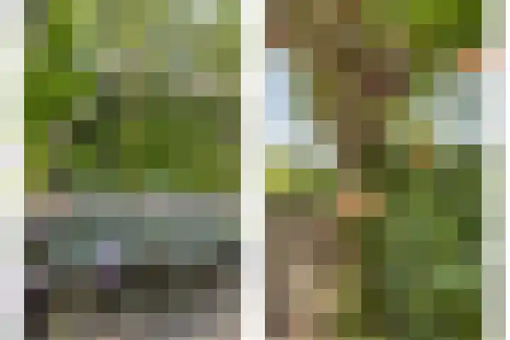 Vlaskam 16 Zevenbergschen Hoek thumbnail 32
