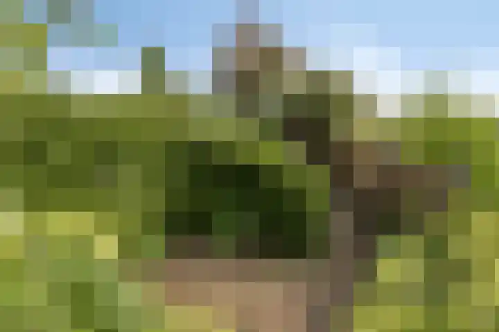 Vlaskam 16 Zevenbergschen Hoek thumbnail 33