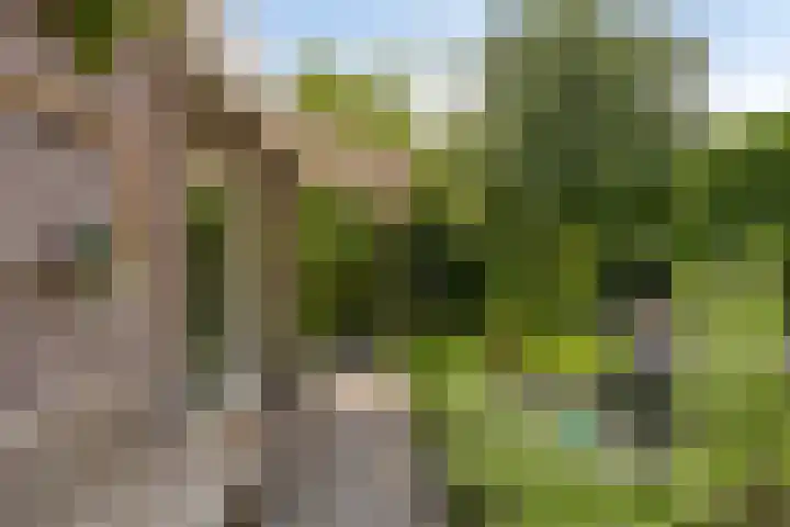 Vlaskam 16 Zevenbergschen Hoek thumbnail 36