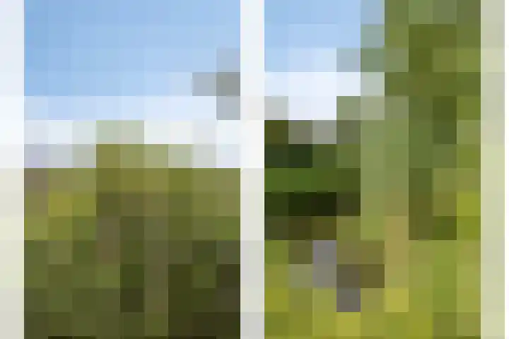 Vlaskam 16 Zevenbergschen Hoek thumbnail 37