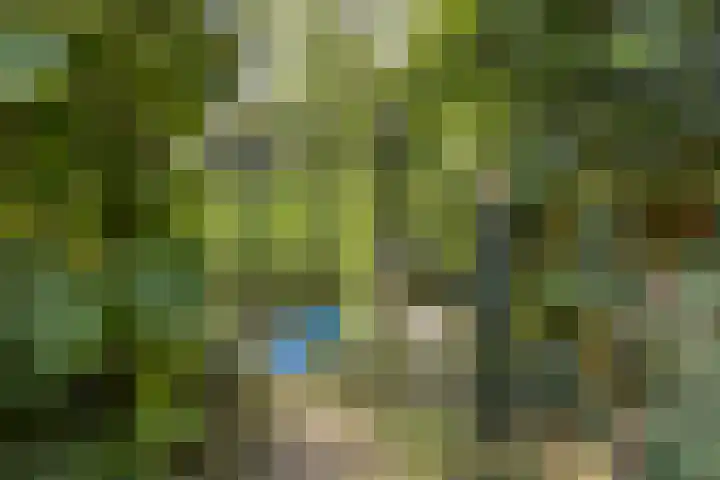 Vlaskam 16 Zevenbergschen Hoek thumbnail 38