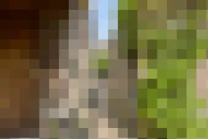 Vlaskam 16 Zevenbergschen Hoek thumbnail 39