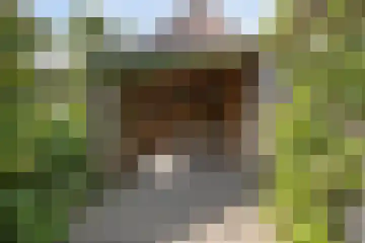 Vlaskam 16 Zevenbergschen Hoek thumbnail 41
