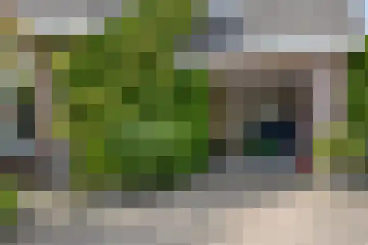 Vlaskam 16 Zevenbergschen Hoek thumbnail 44