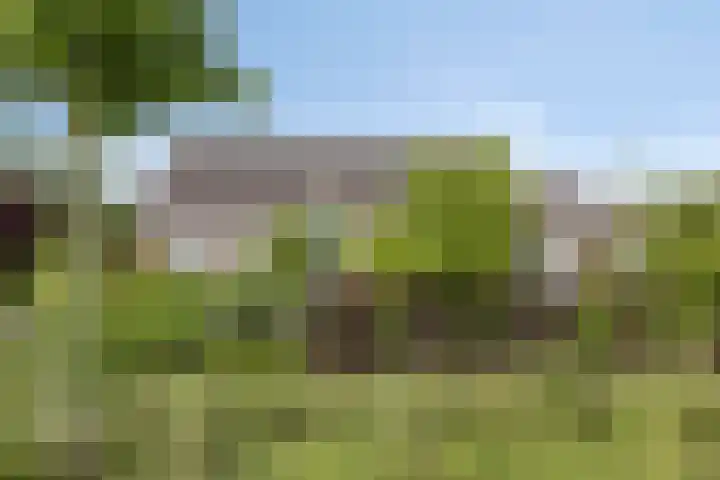 Vlaskam 16 Zevenbergschen Hoek thumbnail 45