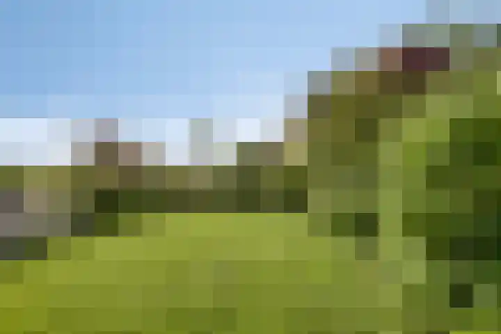 Vlaskam 16 Zevenbergschen Hoek thumbnail 5