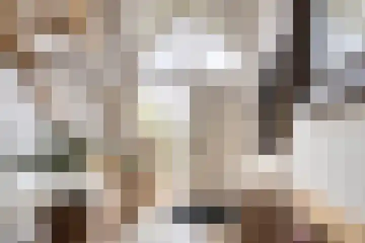 Vlaskam 16 Zevenbergschen Hoek thumbnail 6