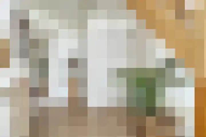 Vlaskam 16 Zevenbergschen Hoek thumbnail 8
