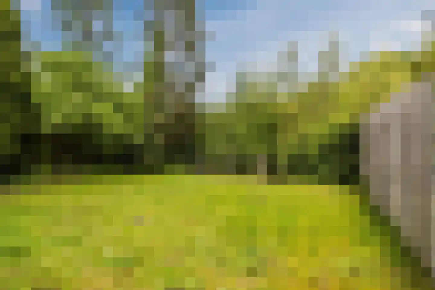 Vlaskamp 16 Hoogeveen thumbnail 15