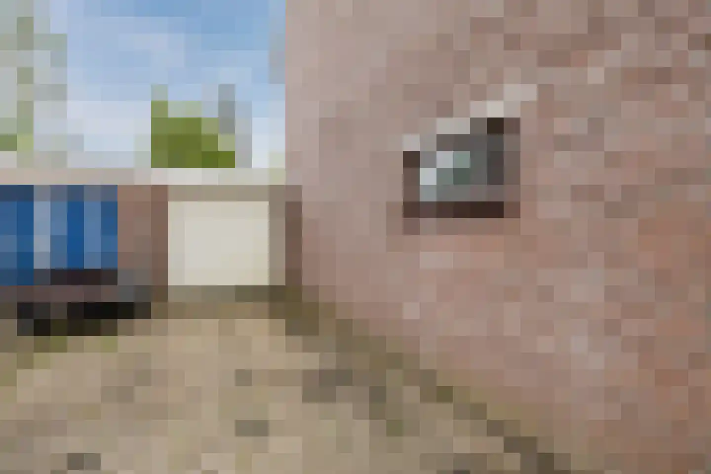 Vlaskamp 16 Hoogeveen thumbnail 17