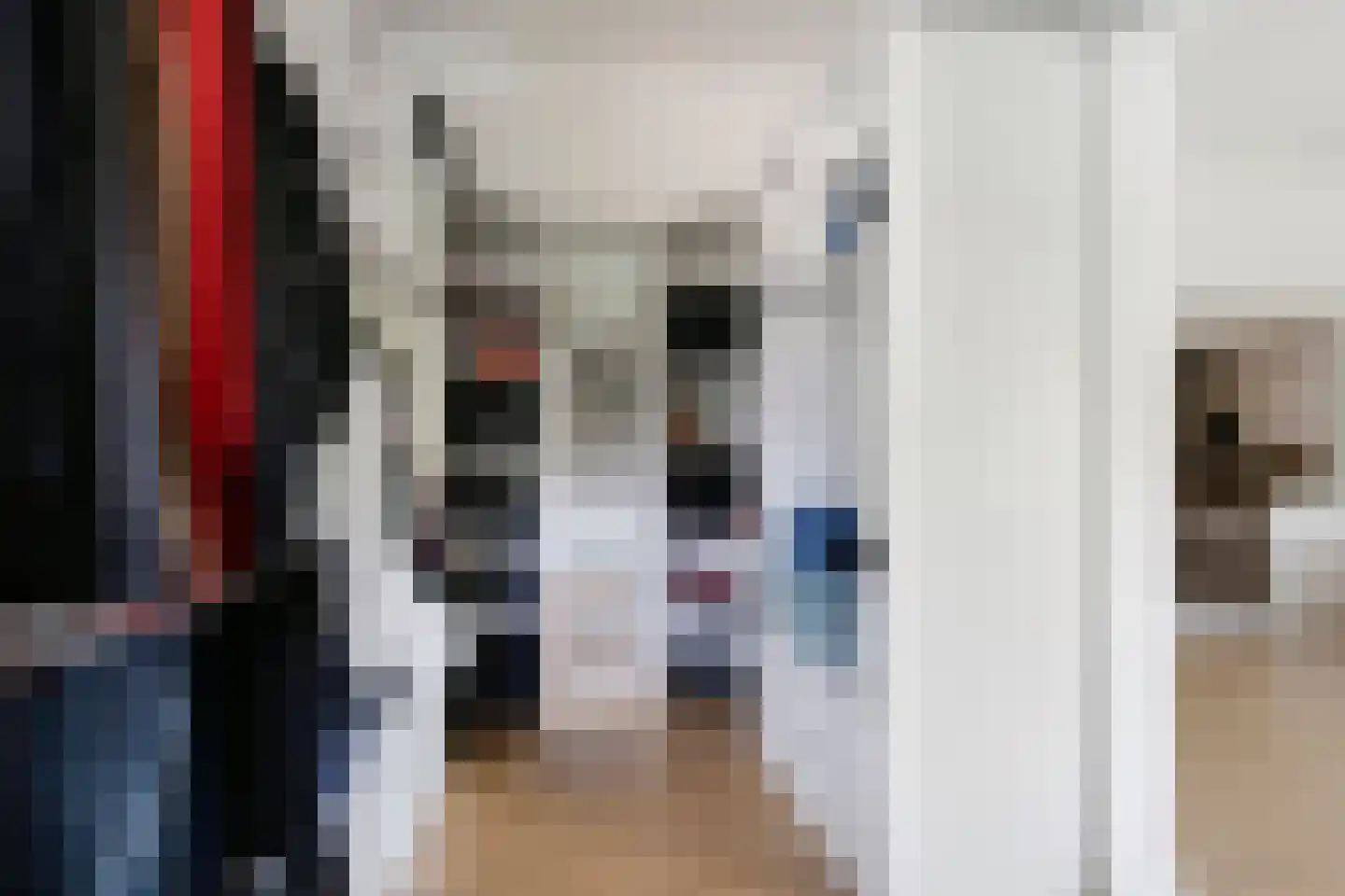 Vlaskamp 16 Leiderdorp thumbnail 17