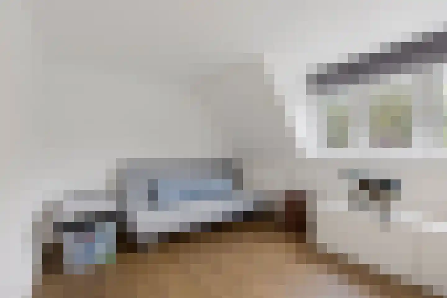 Vlaskamp 16 Leiderdorp thumbnail 18