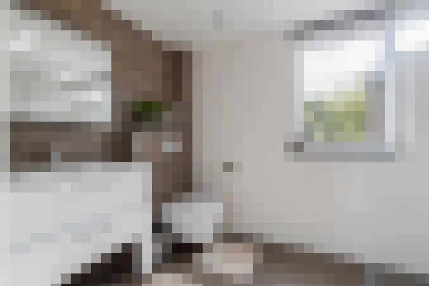 Vlaskamp 16 Leiderdorp thumbnail 22