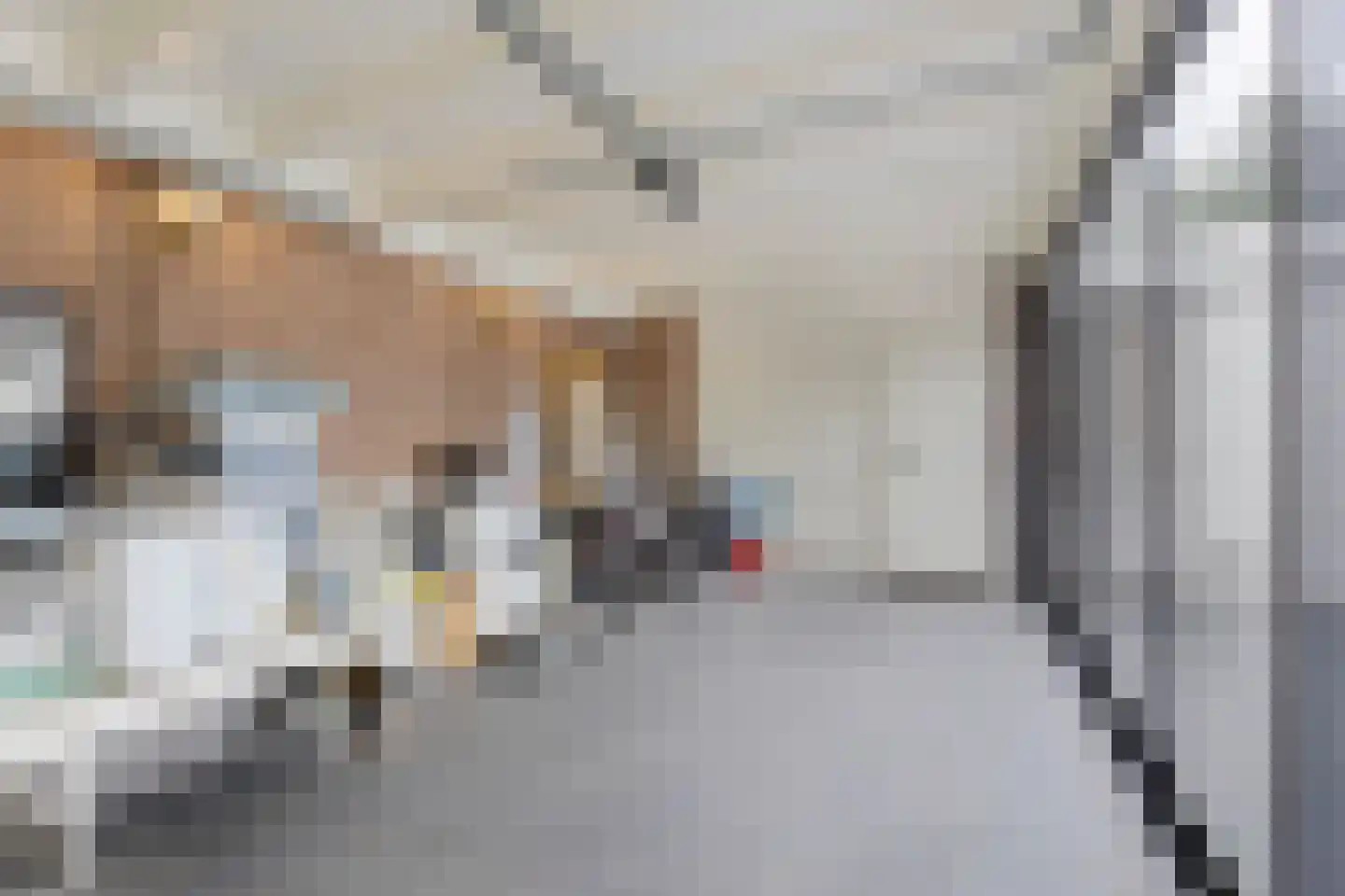 Vlaskamp 16 Leiderdorp thumbnail 28