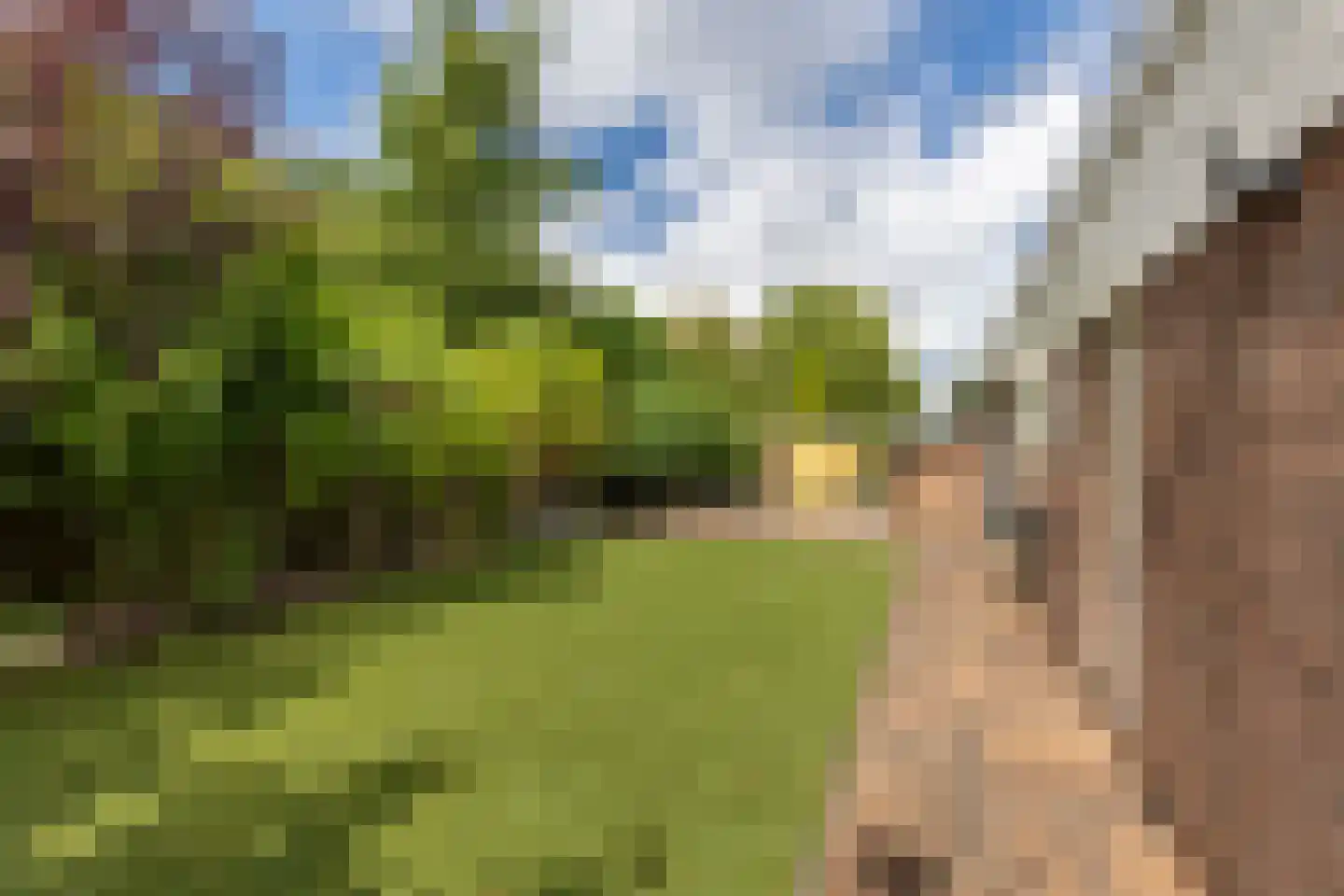 Vlaskamp 16 Leiderdorp thumbnail 29