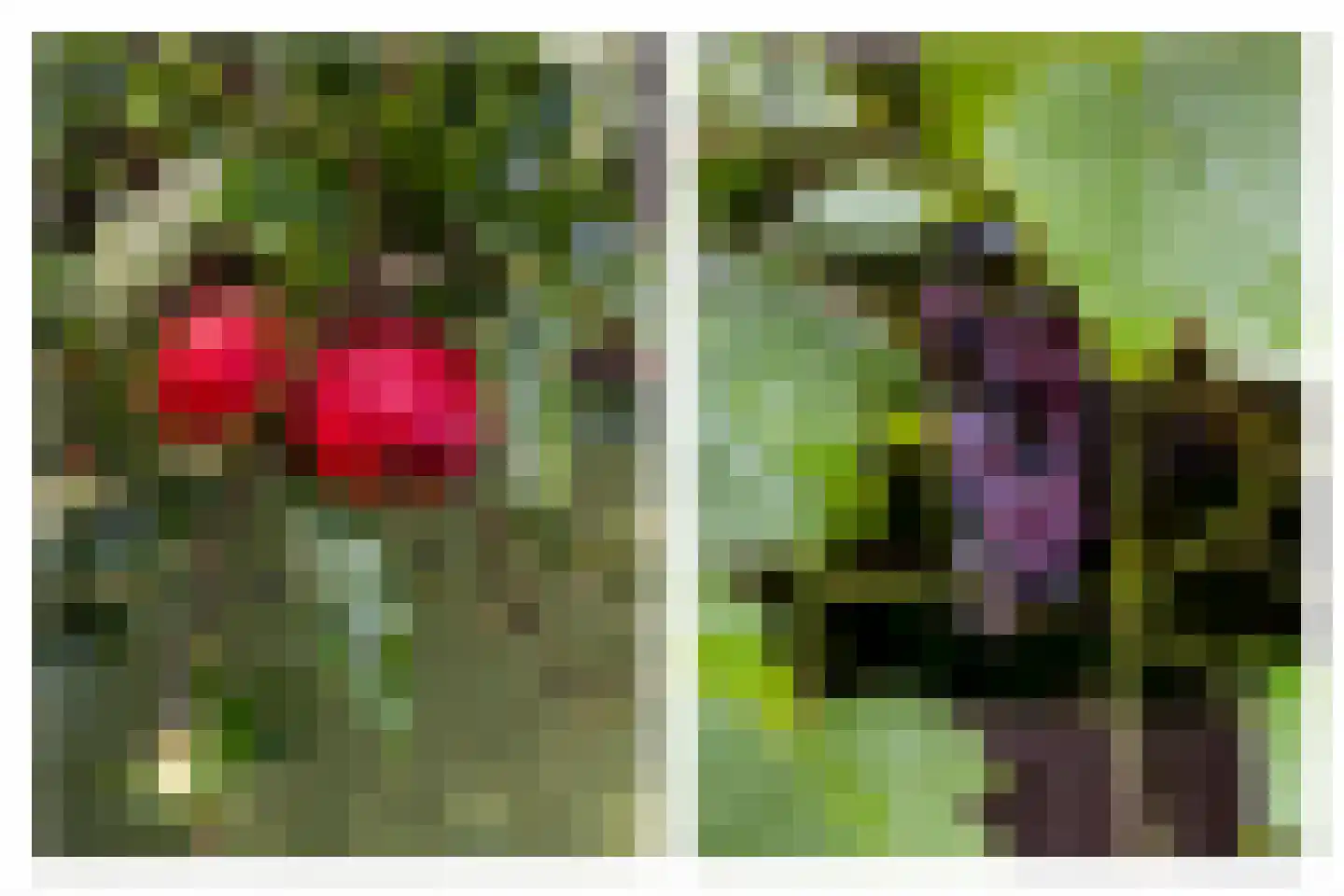 Vlaskamp 16 Leiderdorp thumbnail 31