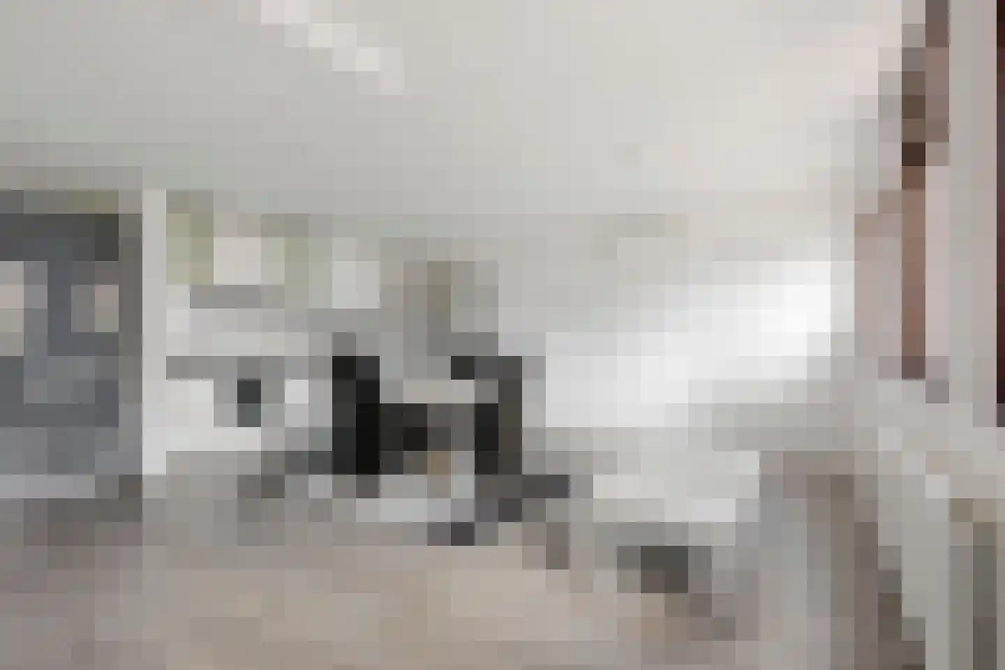 Vlaskamp 16 Leiderdorp thumbnail 33