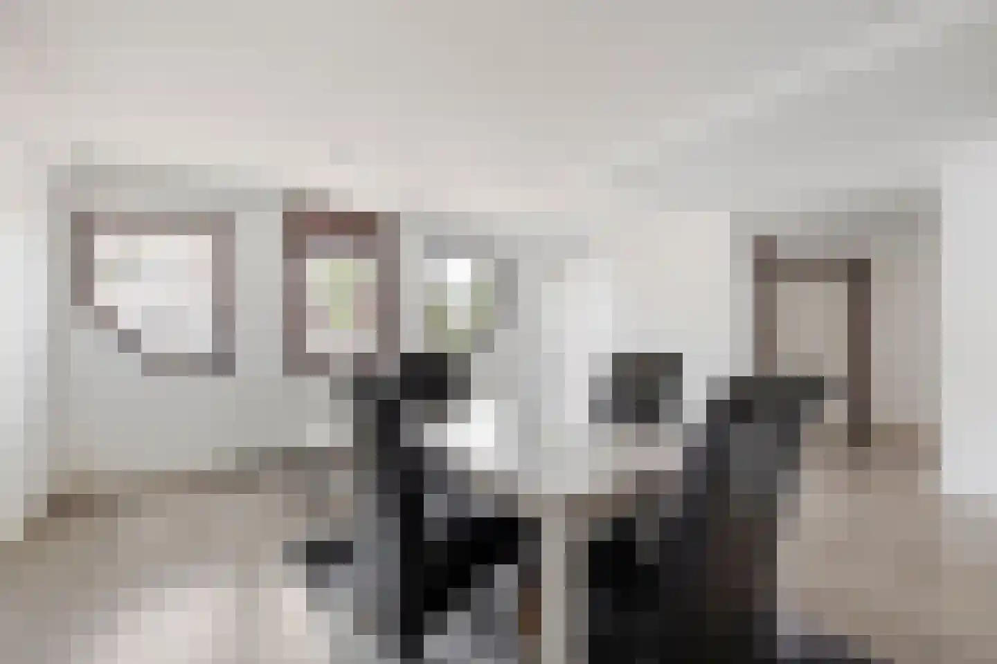 Vlaskamp 16 Leiderdorp thumbnail 37