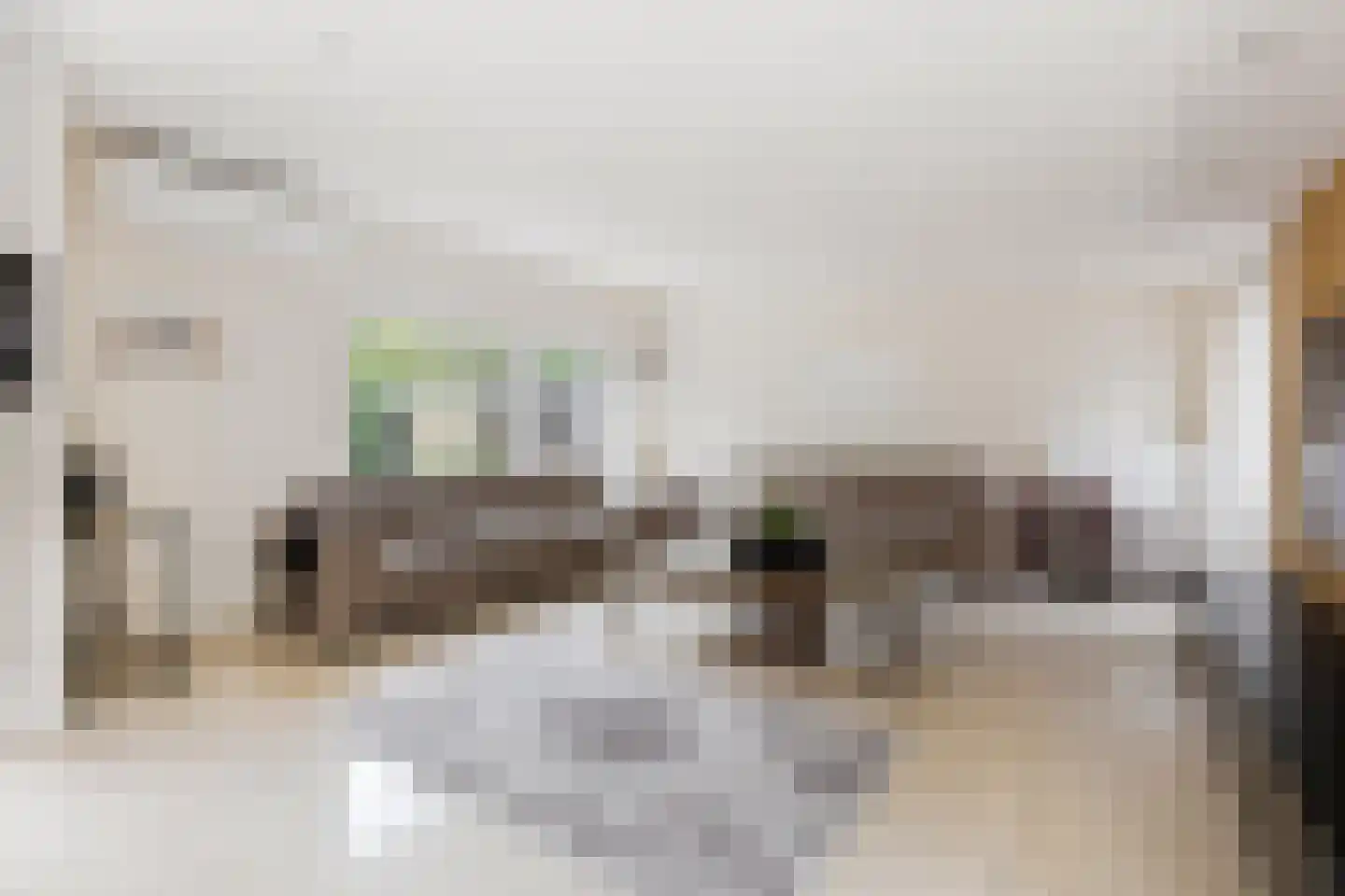 Vlaskamp 16 Leiderdorp thumbnail 4