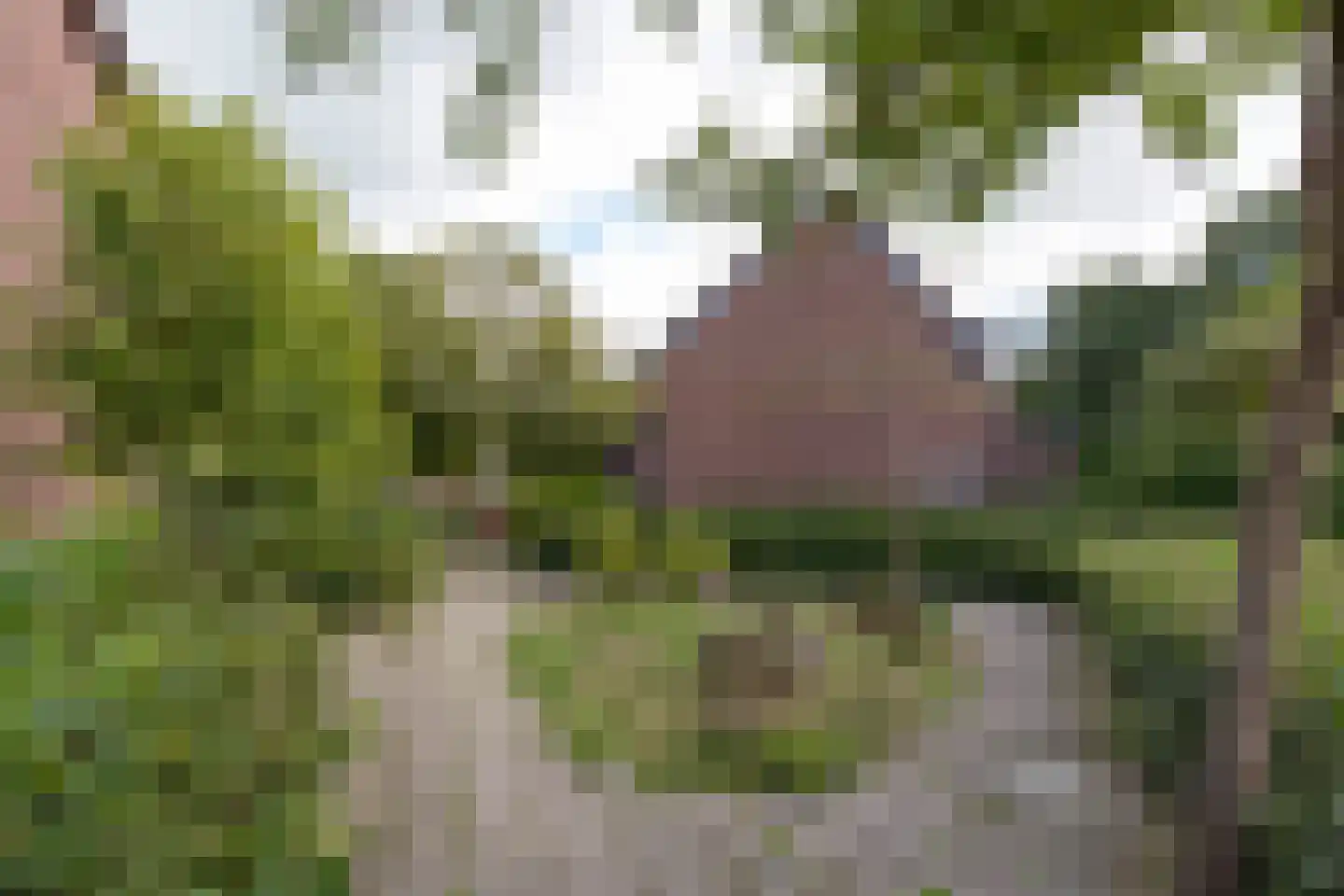 Vlaskamp 16 Leiderdorp thumbnail 44