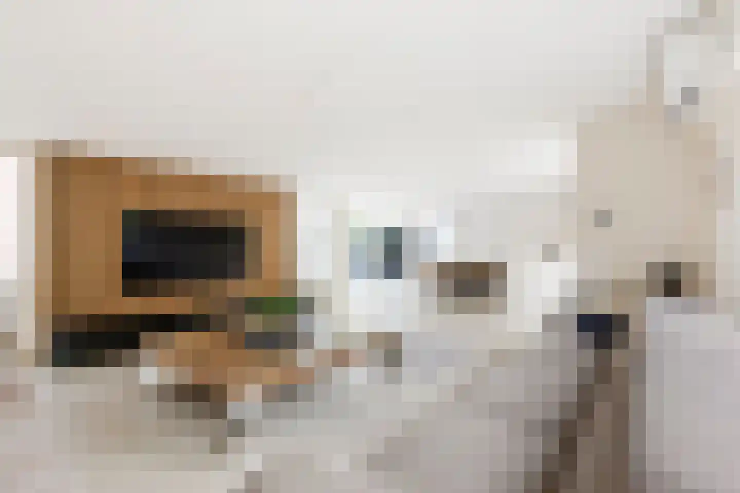 Vlaskamp 16 Leiderdorp thumbnail 6