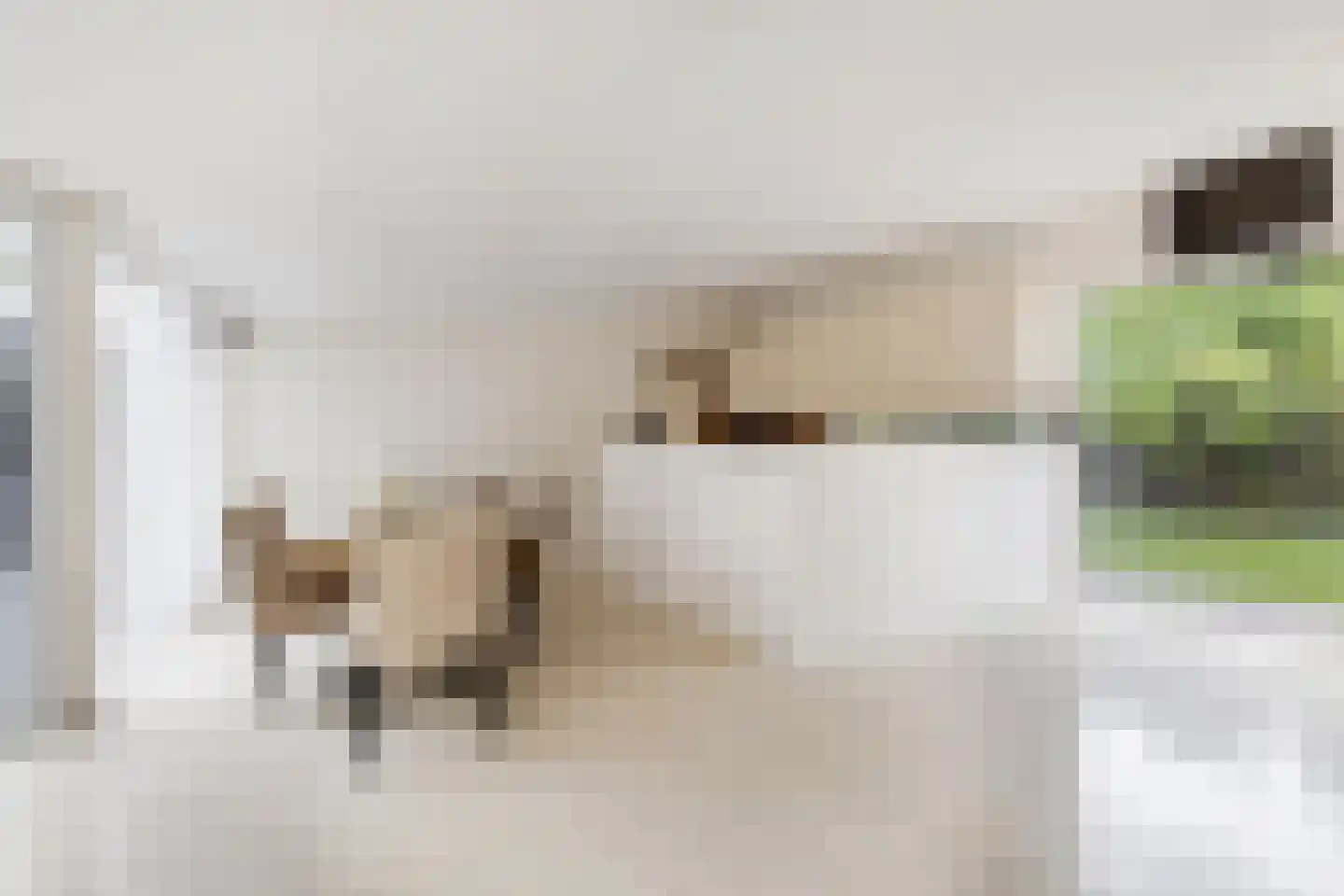 Vlaskamp 16 Leiderdorp thumbnail 7