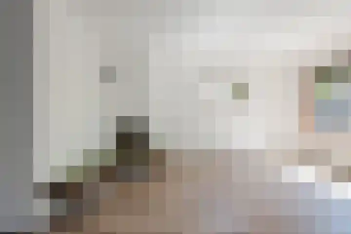 Vlaskamp 18 Hoogeveen thumbnail 14