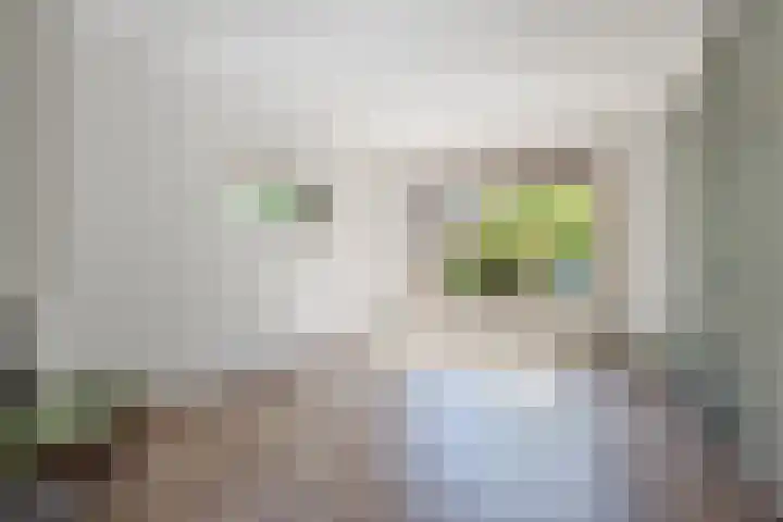 Vlaskamp 18 Hoogeveen thumbnail 15