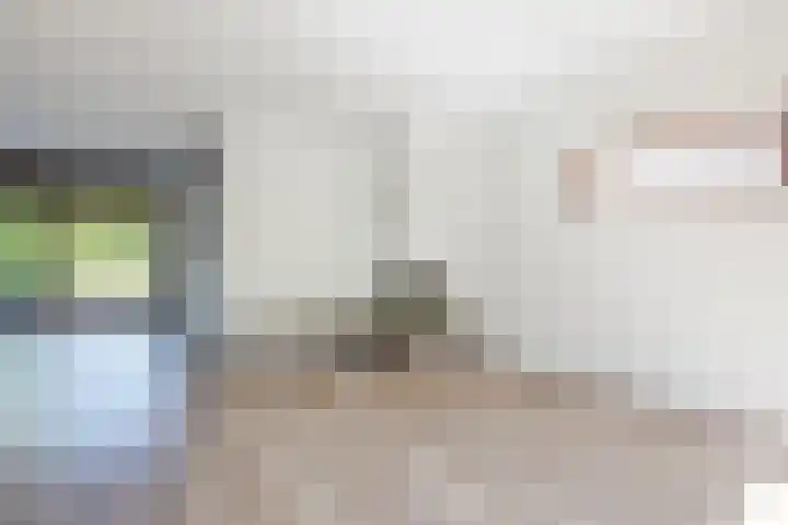 Vlaskamp 18 Hoogeveen thumbnail 18