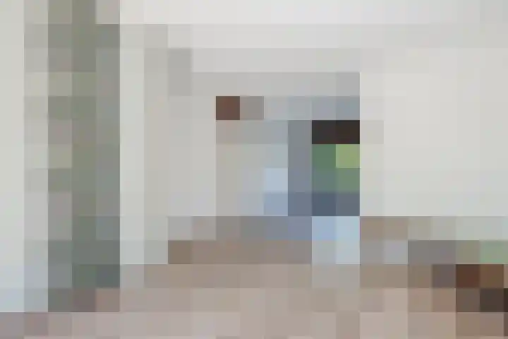 Vlaskamp 18 Hoogeveen thumbnail 19