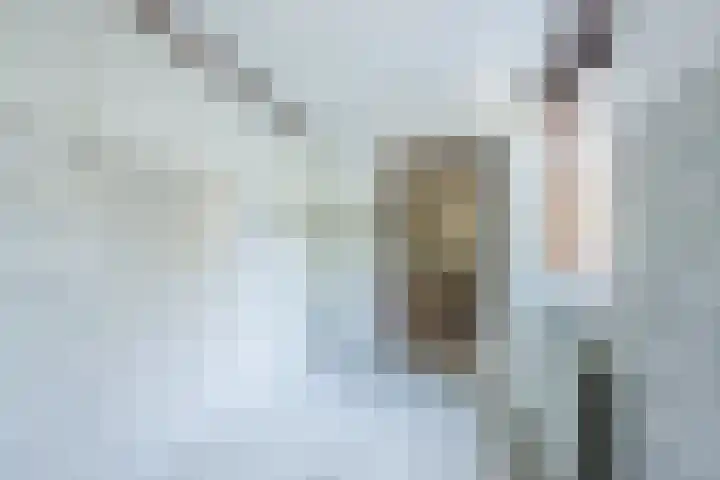 Vlaskamp 18 Hoogeveen thumbnail 27