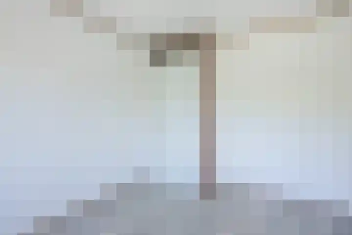 Vlaskamp 18 Hoogeveen thumbnail 36