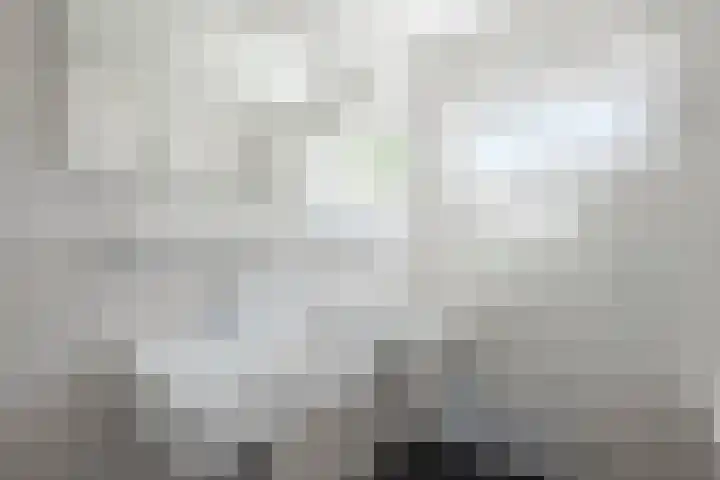 Vlaskamp 18 Hoogeveen thumbnail 38