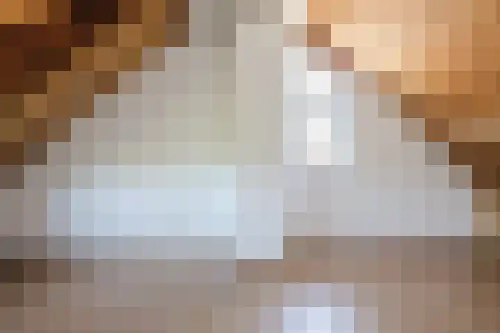 Vlaskamp 18 Hoogeveen thumbnail 41