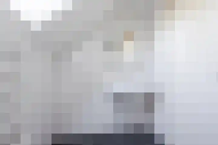 Vlaskamp 18 Hoogeveen thumbnail 47